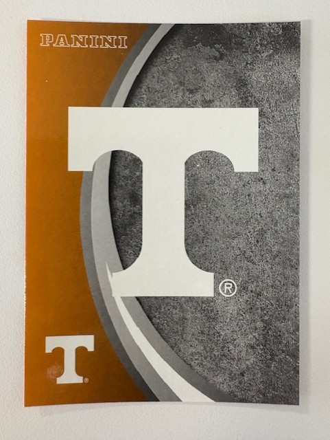 Panini Card #6 White T